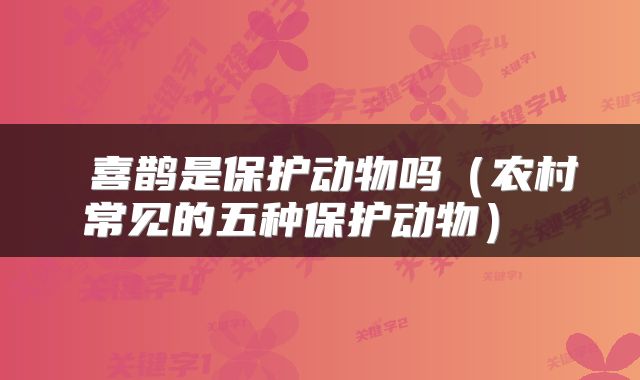  喜鹊是保护动物吗（农村常见的五种保护动物） 