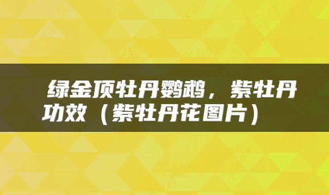 绿金顶牡丹鹦鹉,紫牡丹功效(紫牡丹花图片)