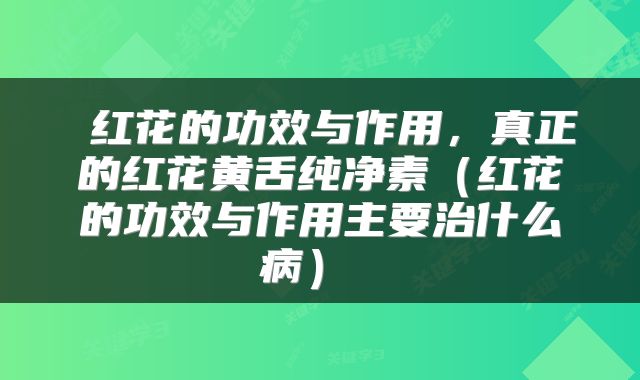 红花的功效与作用,真正的红花黄舌纯净素(红花的功效与作用主要治什么病)