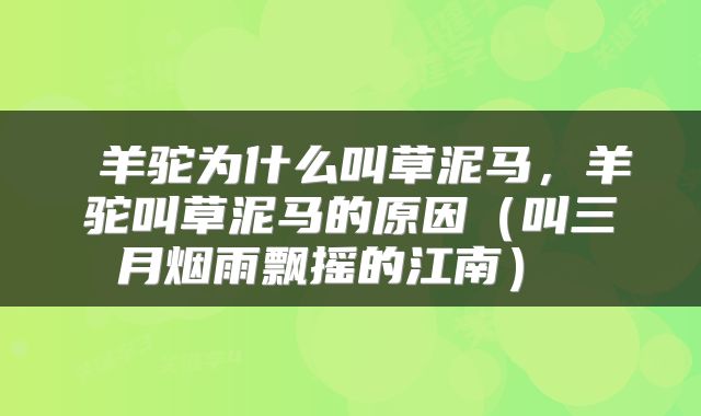  羊驼为什么叫草泥马，羊驼叫草泥马的原因（叫三月烟雨飘摇的江南） 