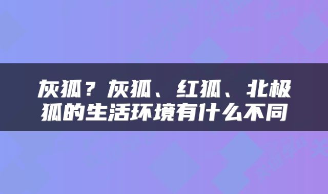 灰狐？灰狐、红狐、北极狐的生活环境有什么不同