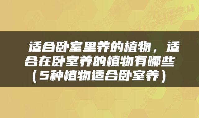  适合卧室里养的植物，适合在卧室养的植物有哪些（5种植物适合卧室养） 