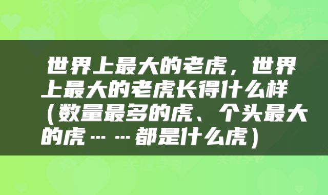  世界上最大的老虎，世界上最大的老虎长得什么样（数量最多的虎、个头最大的虎……都是什么虎） 