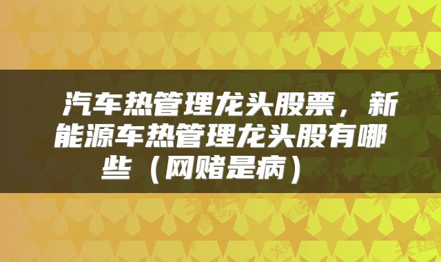 汽车热管理龙头股票,新能源车热管理龙头股有哪些(网赌是病)