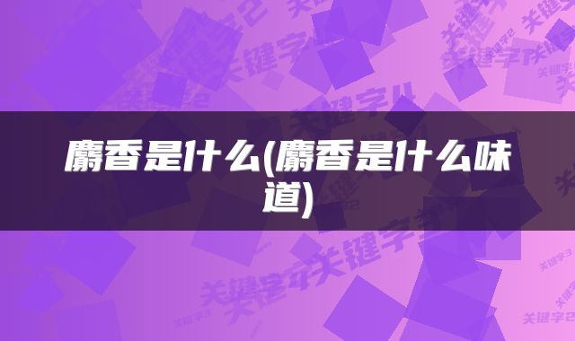 麝香是什么(麝香是什么味道)