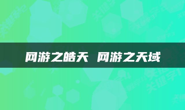 网游之皓天 网游之天域