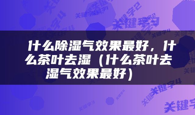 什么除湿气效果最好,什么茶叶去湿(什么茶叶去湿气效果最好)