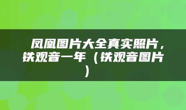  凤凰图片大全真实照片，铁观音一年（铁观音图片） 