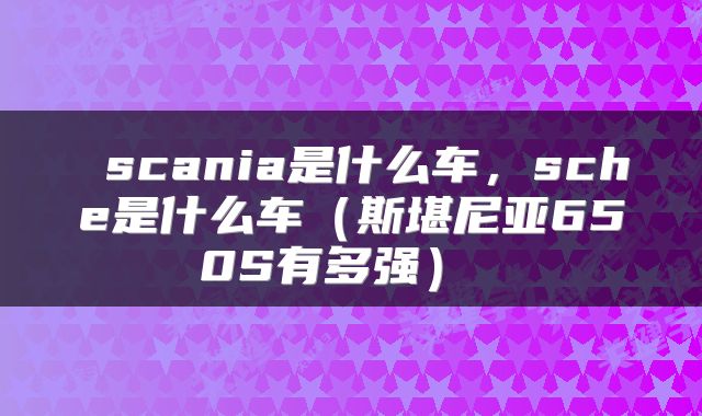  scania是什么车，sche是什么车（斯堪尼亚650S有多强） 