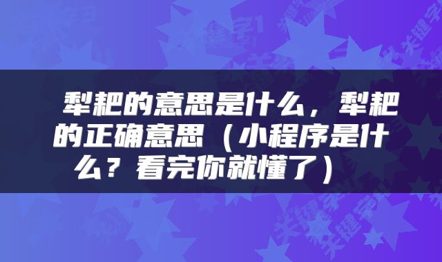  犁耙的意思是什么，犁耙的正确意思（小程序是什么？看完你就懂了） 