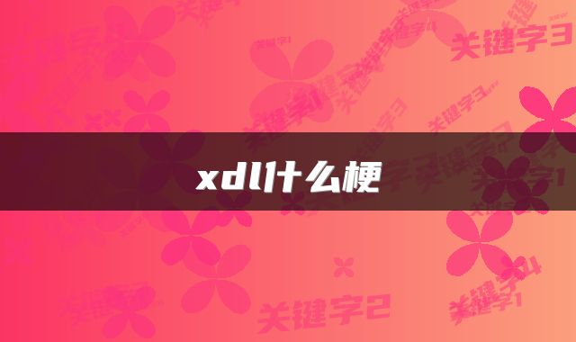 xdl什么梗