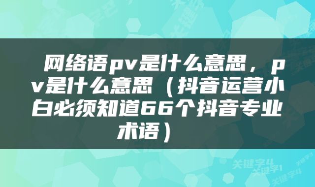网络语pv是什么意思,pv是什么意思(抖音运营小白必须知道66个抖音专业术语)