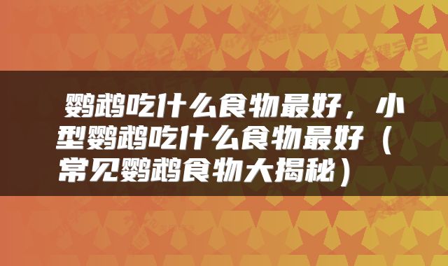 鹦鹉吃什么食物最好,小型鹦鹉吃什么食物最好(常见鹦鹉食物大揭秘)