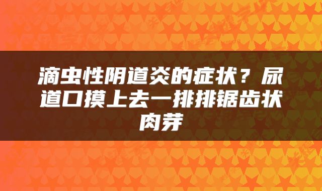滴虫性阴道炎的症状？尿道口摸上去一排排锯齿状肉芽