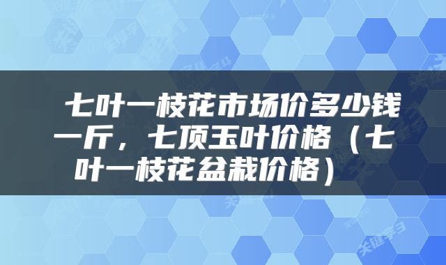 七叶一枝花市场价多少钱一斤,七顶玉叶价格(七叶一枝花盆栽价格)