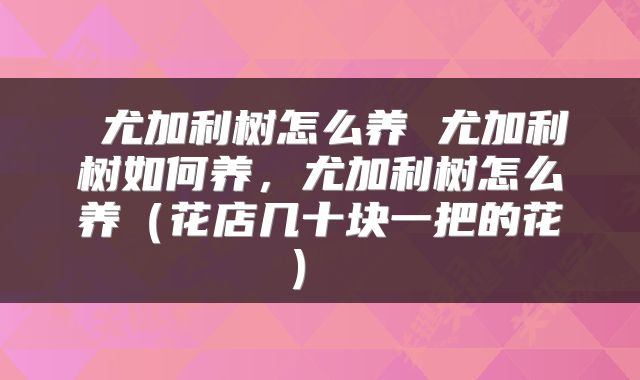  尤加利树怎么养 尤加利树如何养，尤加利树怎么养（花店几十块一把的花） 