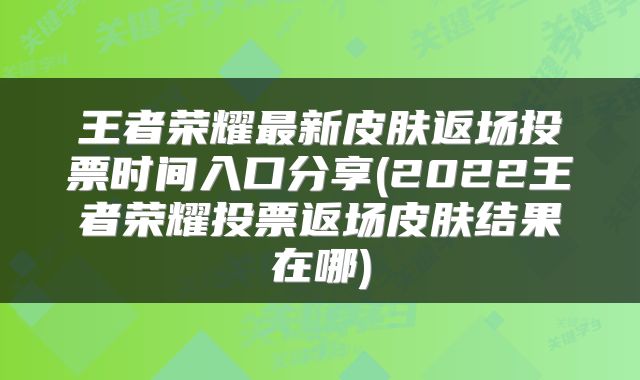 王者荣耀最新皮肤返场投票时间入口分享(2022王者荣耀投票返场皮肤结果在哪)