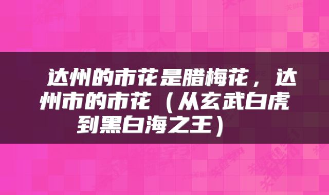 达州的市花是腊梅花,达州市的市花(从玄武白虎到黑白海之王)