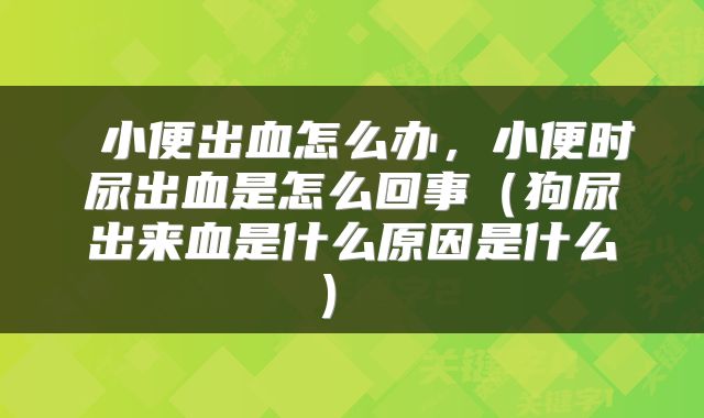 小便出血怎么办,小便时尿出血是怎么回事(狗尿出来血是什么原因是什么)