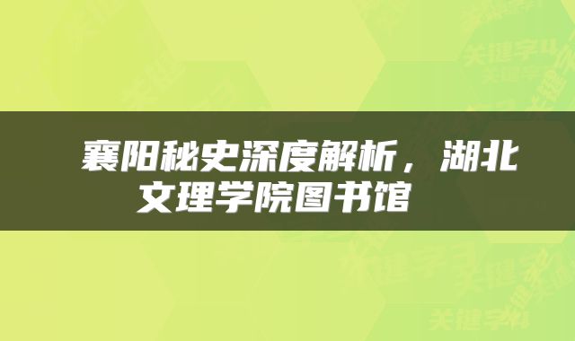 襄阳秘史深度解析，湖北文理学院图书馆 