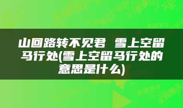 山回路转不见君 雪上空留马行处(雪上空留马行处的意思是什么)