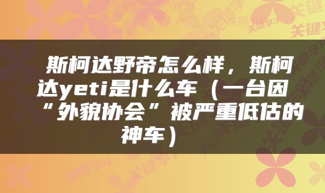 斯柯达野帝怎么样,斯柯达yeti是什么车(一台因“外貌协会”被严重低估的神车)