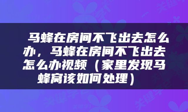  马蜂在房间不飞出去怎么办，马蜂在房间不飞出去怎么办视频（家里发现马蜂窝该如何处理） 
