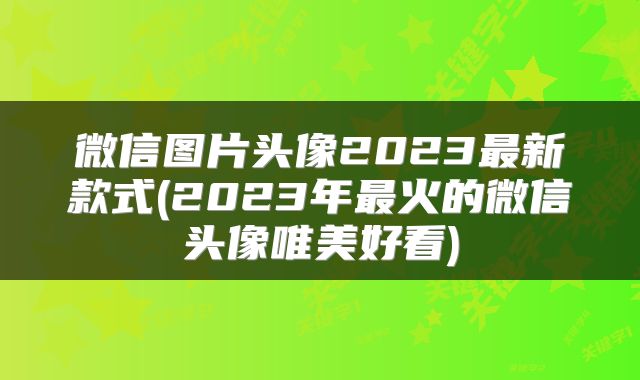 微信图片头像2023最新款式(2023年最火的微信头像唯美好看)