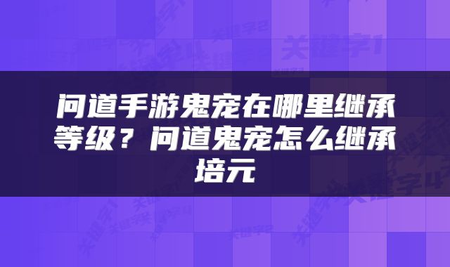 问道手游鬼宠在哪里继承等级?问道鬼宠怎么继承培元
