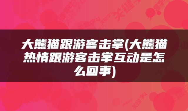 大熊猫跟游客击掌(大熊猫热情跟游客击掌互动是怎么回事)