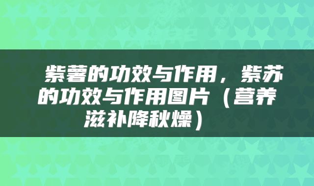  紫薯的功效与作用，紫苏的功效与作用图片（营养滋补降秋燥） 
