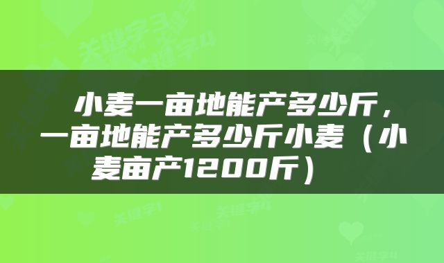  小麦一亩地能产多少斤，一亩地能产多少斤小麦（小麦亩产1200斤） 