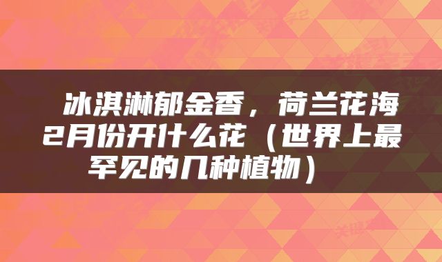  冰淇淋郁金香，荷兰花海2月份开什么花（世界上最罕见的几种植物） 