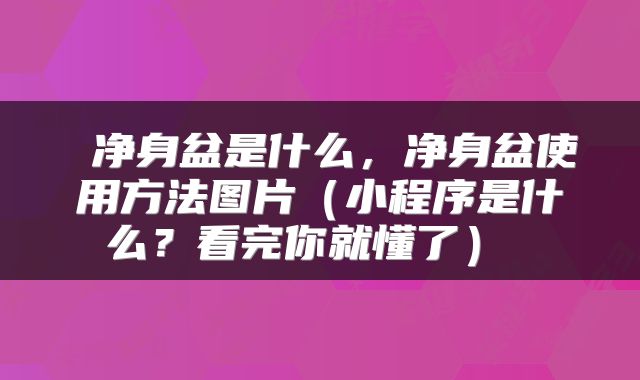  净身盆是什么，净身盆使用方法图片（小程序是什么？看完你就懂了） 