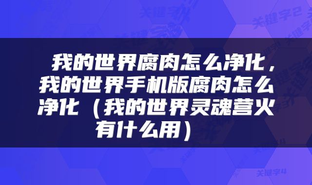  我的世界腐肉怎么净化，我的世界手机版腐肉怎么净化（我的世界灵魂营火有什么用） 