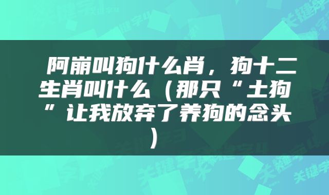 阿崩叫狗什么肖,狗十二生肖叫什么(那只“土狗”让我放弃了养狗的念头)