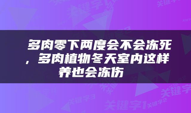  多肉零下两度会不会冻死，多肉植物冬天室内这样养也会冻伤 