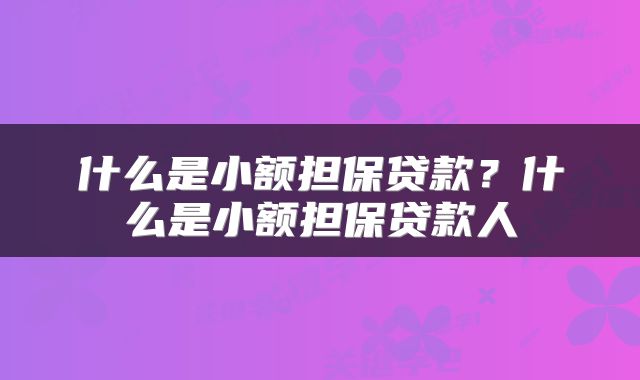 什么是小额担保贷款?什么是小额担保贷款人
