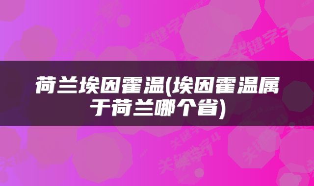 荷兰埃因霍温(埃因霍温属于荷兰哪个省)