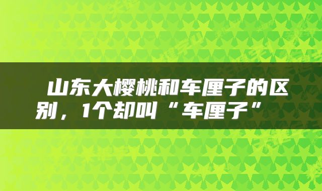 山东大樱桃和车厘子的区别,1个却叫“车厘子”