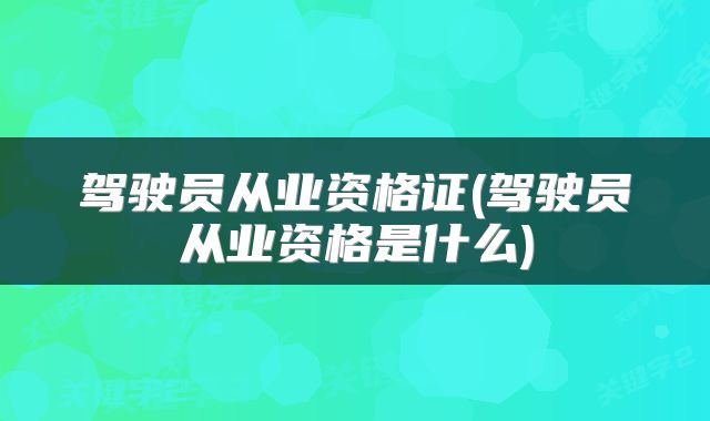 驾驶员从业资格证(驾驶员从业资格是什么)