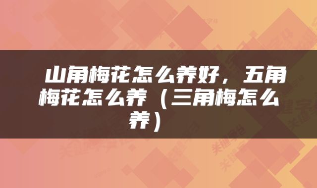 山角梅花怎么养好,五角梅花怎么养(三角梅怎么养)