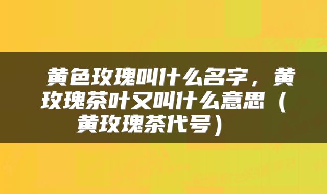  黄色玫瑰叫什么名字，黄玫瑰茶叶又叫什么意思（黄玫瑰茶代号） 
