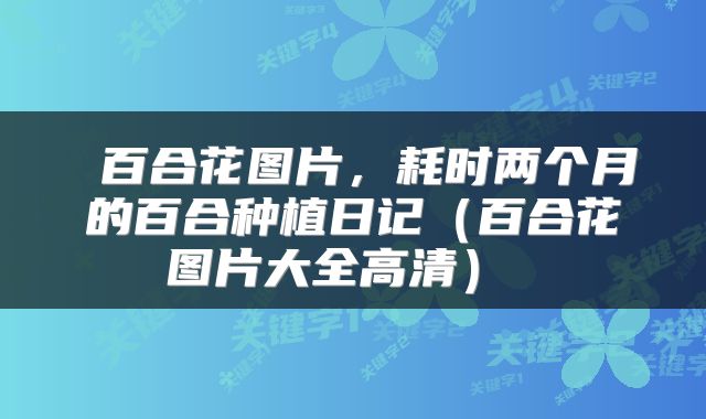 百合花图片,耗时两个月的百合种植日记(百合花图片大全高清)