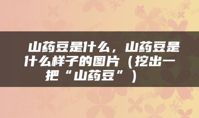 山药豆是什么,山药豆是什么样子的图片(挖出一把“山药豆”)