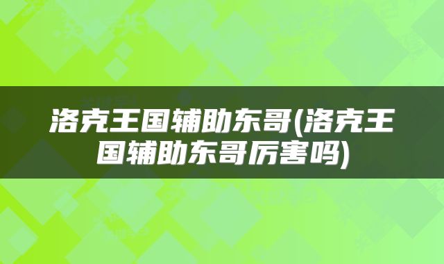 洛克王国辅助东哥(洛克王国辅助东哥厉害吗)