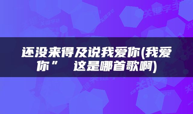 还没来得及说我爱你(我爱你” 这是哪首歌啊)