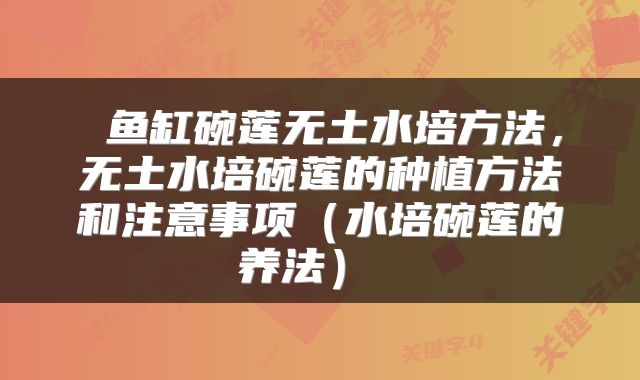 鱼缸碗莲无土水培方法,无土水培碗莲的种植方法和注意事项(水培碗莲的养法)
