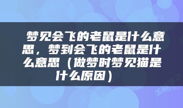  梦见会飞的老鼠是什么意思，梦到会飞的老鼠是什么意思（做梦时梦见猫是什么原因） 