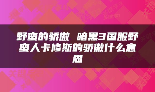 野蛮的骄傲 暗黑3国服野蛮人卡修斯的骄傲什么意思